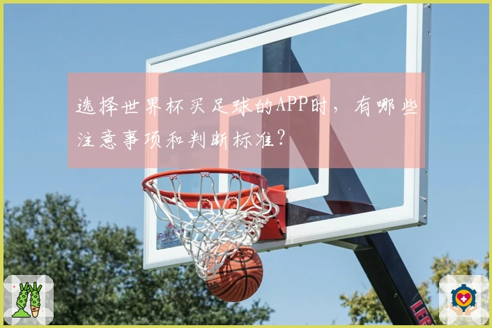 选择世界杯买足球的APP时，有哪些注意事项和判断标准？