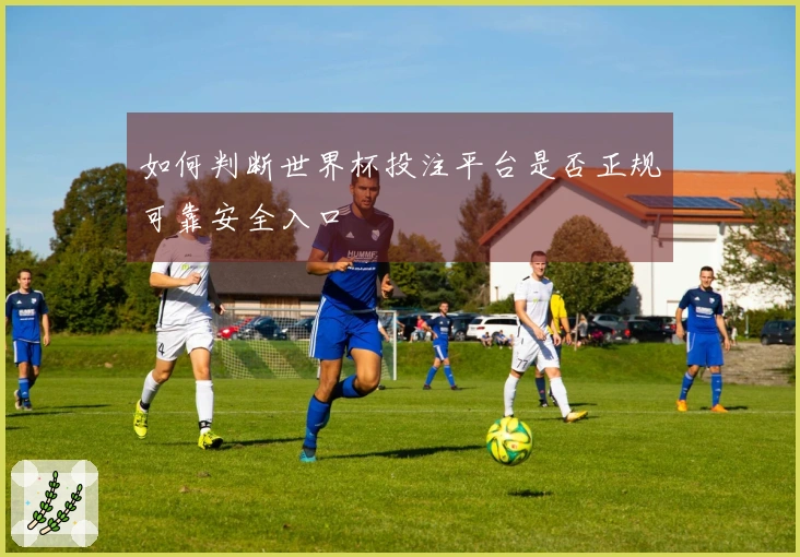 如何判断世界杯投注平台是否正规可靠安全入口