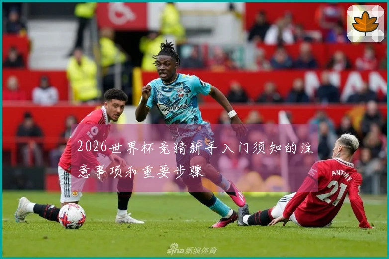 2026世界杯竞猜新手入门须知的注意事项和重要步骤